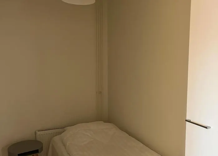 Arctic Flame Daire Rovaniemi